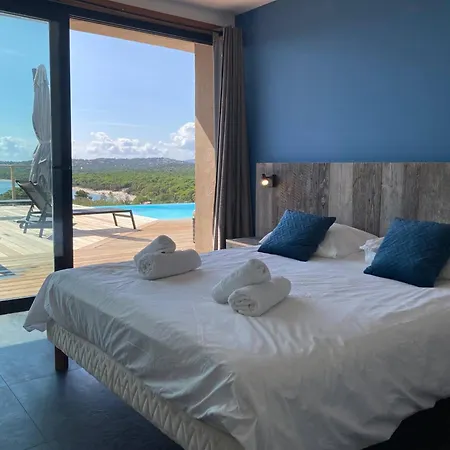 Hirondelles Pinarellu