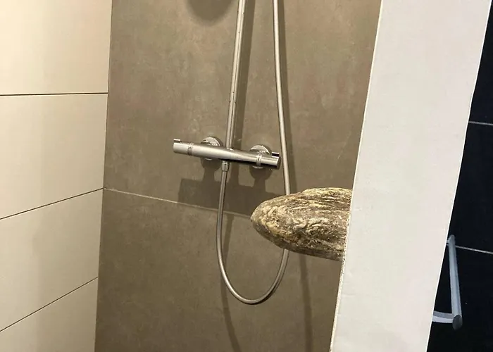 Hirondelles Pinarellu