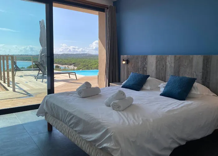 Hirondelles Pinarellu